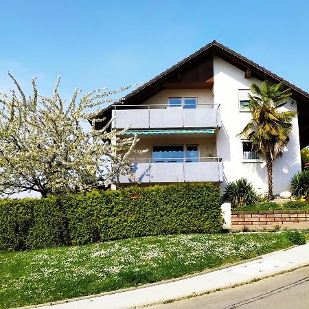 Haus Kramer Διαμέρισμα Bad Bellingen Εξωτερικό φωτογραφία